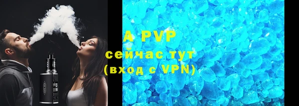 индика Баксан