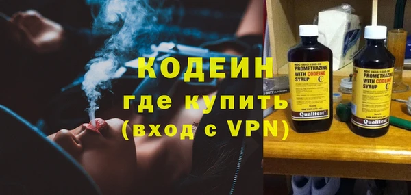 индика Баксан