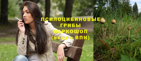 индика Баксан