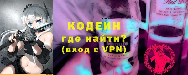 индика Баксан