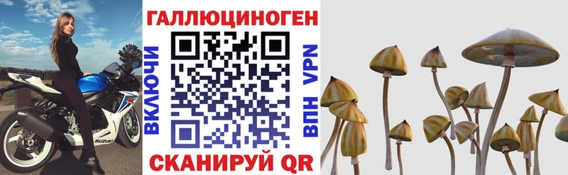 Псилоцибиновые грибы MAGIC MUSHROOMS  Лукоянов 